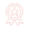 Badge icon